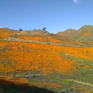 Meet your Posher, Victor andres